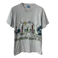 90s USA製 FRUIT OF THE LOOM 半袖 プリントTシャツ M ライトグレー 90年代 ビックプリント カットソー 夏物 a807-5608のサムネイル