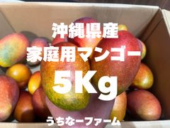 沖縄県産 アップルマンゴー 訳あり5キロ - メルカリ