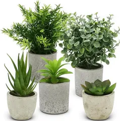 S.T.S.G フェイクグリーン 5点セット 人工観葉植物 インテリア 枯れない 卓上 鉢植え 造花 水やり不要 (ナチュラル,  中型)のサムネイル