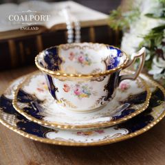 英国コールポート バットウィング 大きめカップ＆ソーサー＋プレート