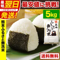 【速攻出荷★洗わず炊ける！】令和7年産 米 熊本県産 ブレンド ふるさと 無洗米 5kg  送料無料 精米 熊本県産ふるさと無洗米 非常食 保存食 こめ コメ kome ご当地風土 《1-5営業日以内に発送(土日祝除く)》のサムネイル