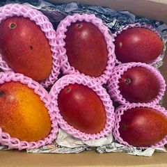 超特大5L】訳あり宮崎完熟マンゴー 6玉約3.7kg - メルカリ