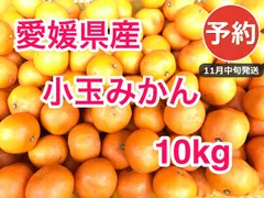 【予約】小玉みかん10kg 毎年2万箱お届け 愛媛西宇和産 家庭用 11月中旬発送🍊のサムネイル