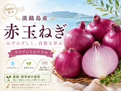 農薬、除草剤不使用！淡路島紫玉ねぎ 赤玉ねぎ2kg 【彩り×美容】毎日の若々しさを応援！のサムネイル