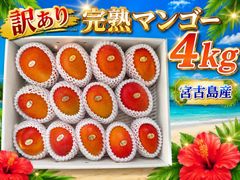 タケちん様専用/沖縄産☆アーウィンマンゴー (特大3個)1.5kg 2箱