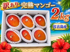 宮古島産 完熟マンゴー 8kg 訳あり クール便 送料無料 - メルカリ