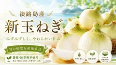 農薬、除草剤不使用！淡路島 新玉ねぎ2kg サラダにピッタリ。春だけのみずみずしい特別な玉ねぎをご賞味あれ。のサムネイル