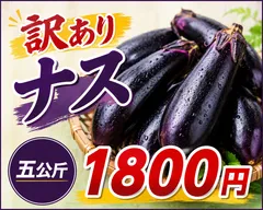【訳あり】栃木県産 なす 5kg お徳用 家庭用 新鮮野菜 産地直送 送料無料のサムネイル