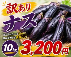 農家直売】朝採れ 訳ありナス 発送最大サイズ 約25キロ160サイズ