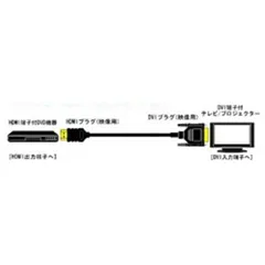 JVC HDMI⇔DVI変換ケーブル 映像機器用 ブラック [3m /HDMI⇔DVI /スタンダードタイプ] VX-HD230のサムネイル