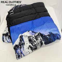 Supreme/シュプリーム【15AW】Fleece Neck Gaiter Black ネック