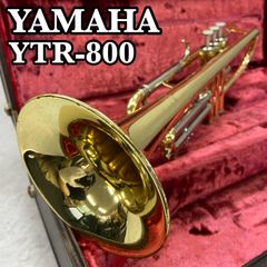 ビュッフェクランポン B♭クラリネット R-13 選定品 グラナディラ 木