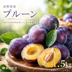 【予約商品※7月下旬頃より順次発送予定】プルーン(家庭用)/約1.5kg/通常便のサムネイル