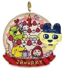 【中古】キーホルダー 1月 バースデイぷっクリアキーホルダー「たまごっち」のサムネイル
