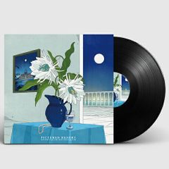 青葉市子　海外版『アダンの風』　アナログ レコード　2LP 新品未開封品 青葉市子 / アダンの風 (リプレス / ECO VINYL) (2LP) レコード