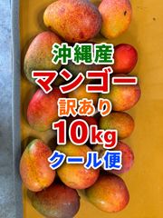 農家直送 宮崎県産 完熟マンゴー 6玉入り 2704g - メルカリ