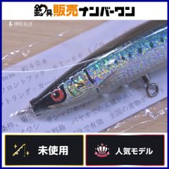 カーペンター ブルーフィッシュ 60-170 2020 クリスマス Carpenter