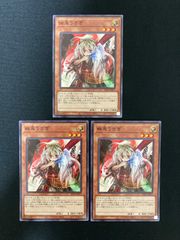 遊戯王OCG 深淵の獣サロニール ノーマル 3枚 DABL-JP007 - メルカリ