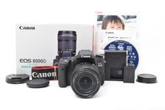 ジャンク》 Nikon ニコン F100 フィルム一眼レフカメラ MB-15付