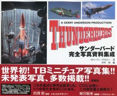 ハセガワ ドラゴンモデルズ 1/6 サンダーバーズ アメリカ空軍　パイロット ハセガワ ドラゴンモデルズ 1/6 サンダーバーズ アメリカ空軍