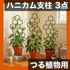【錆びない・軽量】ハニカム型つる植物用支柱フレーム 3点セット 38cm 鉢植え 花 支柱 園芸用品のサムネイル