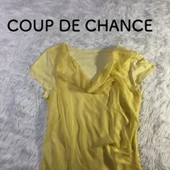 COUP DE CHANCE 半袖 チュニック ビッグフリルネック 38サイズのサムネイル