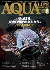 仙姿玉質　クルセイド 中古】クルセイド C-015[Sec]：仙姿玉質(水着) - メルカリ