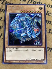 2026年最新】調和の天救竜の人気アイテム - メルカリ