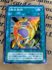 混沌魔龍カオスルーラー ブルシク【遊戯王 本格構築 YPS】 - メルカリ