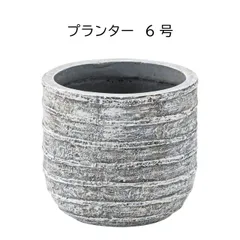 プランター 植木鉢 6号用 W25.5×D25.5×H22cm おしゃれ モダン シンプル グリーンポット 鉢植え 安い 人気 ギフト プレゼント 送料無料のサムネイル