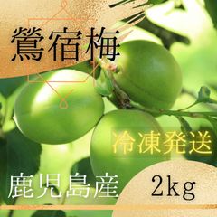 食品 無農薬梅 鶯宿10キロ 無選別