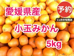 【予約】小玉みかん5kg 毎年2万箱お届け 愛媛西宇和産 家庭用 11月中旬発送🍊のサムネイル