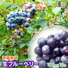 生ブルーベリー 100g×12p 計1.2kg 有機栽培 オーガニック 鹿児島県産 ベリー 有機JAS 国産 冷蔵便 発送期間6～8月のサムネイル