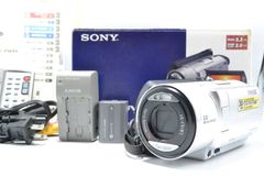 美品 SONY HDR-SR11 ハンディカム HDD60GB内蔵 ビデオカメラ - メルカリ