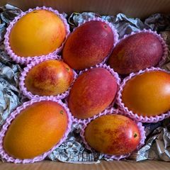 訳あり宮崎完熟マンゴー 11玉 4.3kg - メルカリ