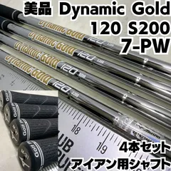 2026年最新】ダイナミックゴールド120 s200の人気アイテム - メルカリ