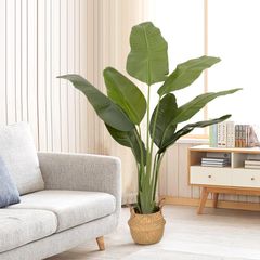 8月に値上げ【直接引き取り・埼玉】IKEAフェイクグリーン