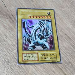 ナチュルパルキオン 英語 - メルカリ