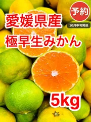 【予約】極早生みかん5kg 愛媛西宇和産 家庭用 10月中旬発送 シーズン一番乗り／訳あり・大小混合🍊のサムネイル