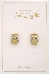 [Used] Accessory (Non-metallic) Holy Ring Earrings "Digimon Adventure"