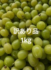 専用出品 福島県産 南高梅 大粒 約5kg入り 送料込み - メルカリ