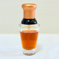 YVES SAINT LAURENT YSL pour homme eau de toilette イヴサンローラン