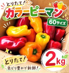 大分県産 カラーピーマン 3色 3kg 秀品 - メルカリ