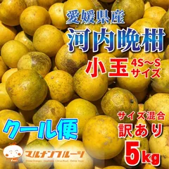推奨！鮮度保持発送！【訳あり】【小玉】河内晩柑　みしょうゴールド　５ｋｇ　クール発送のサムネイル