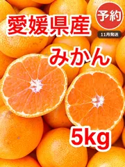 【予約】愛媛県西宇和産 みかん 5kg 送料込 11月発送 温州みかん 家庭用／甘味と酸味のバランス／訳あり・大小混合🍊のサムネイル