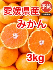 【予約】愛媛県西宇和産 みかん 3kg 送料込 11月発送 温州みかん 家庭用／甘味と酸味のバランス／訳あり・大小混合🍊のサムネイル