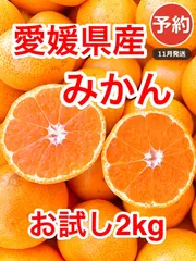 【予約】お試し 愛媛県西宇和産 みかん 2.5kg 送料込 11月発送 温州みかん 家庭用／甘味と酸味のバランス／訳あり・大小混合🍊のサムネイル