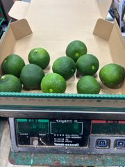 ハウスへべす1kg （さがわクール便配送） - メルカリ