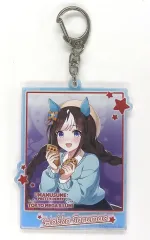 【中古】キーホルダー ホッコータルマエ アクリルキーホルダー 「ウマ娘 プリティーダービー×東京メガイルミ」のサムネイル