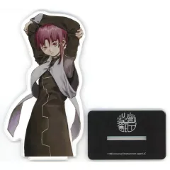 2026年最新】serial experiments lain アクリルの人気アイテム - メルカリ